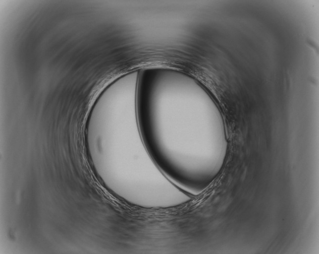 X0000097880289200803140948