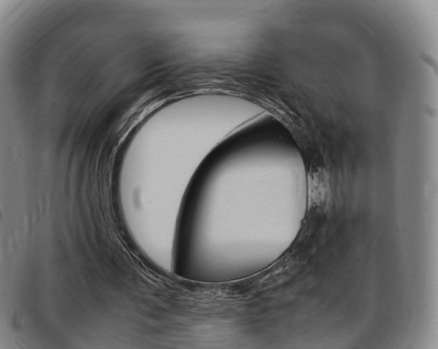 X0000097880291200803140948