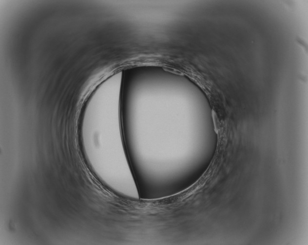 X0000097880293200803140948