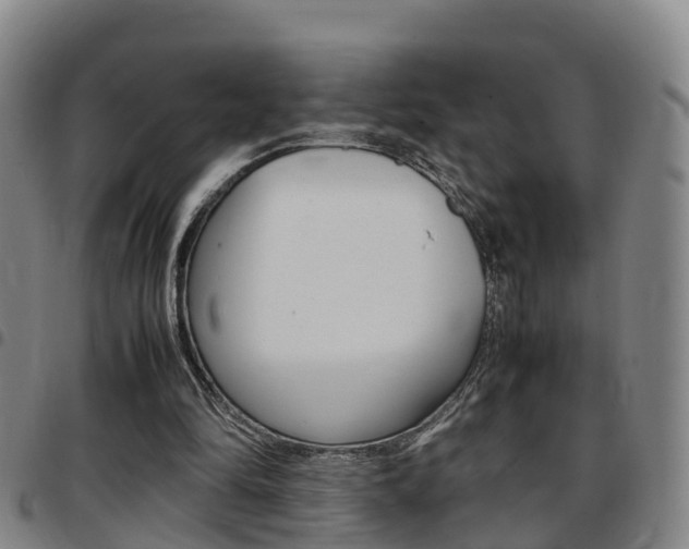 X0000097880294200803140948