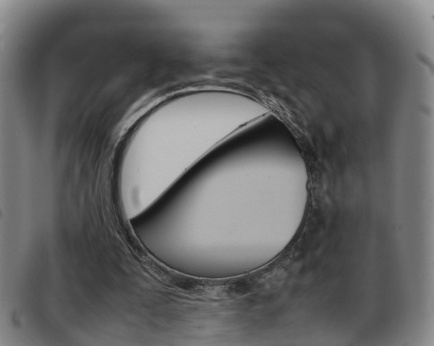 X0000097880295200803140948
