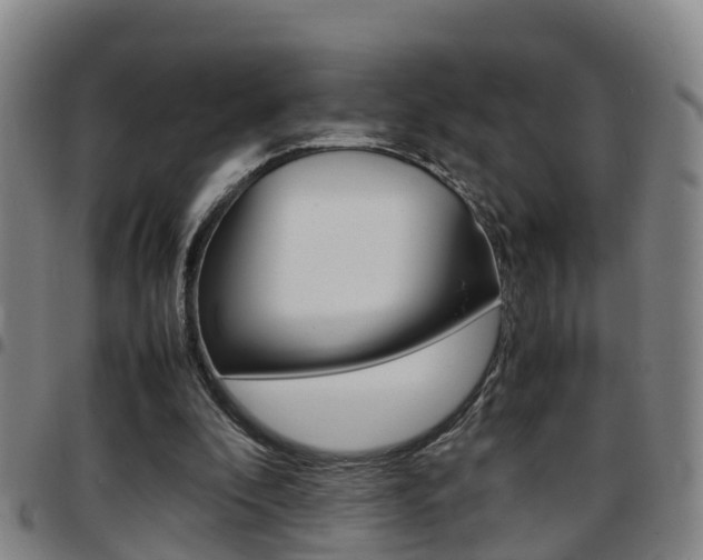 X0000097880296200803140948