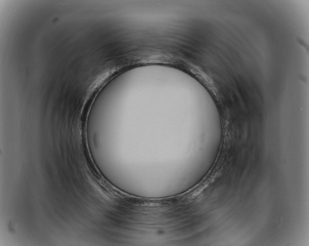 X0000097880298200803140948