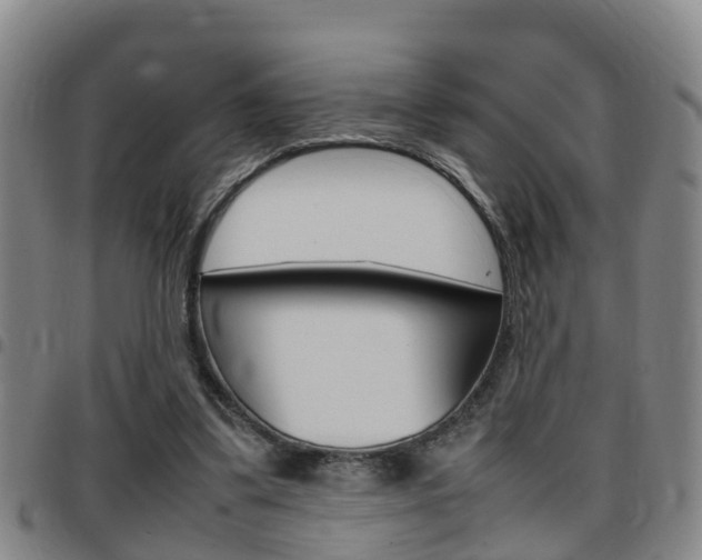 X0000097880299200803140948