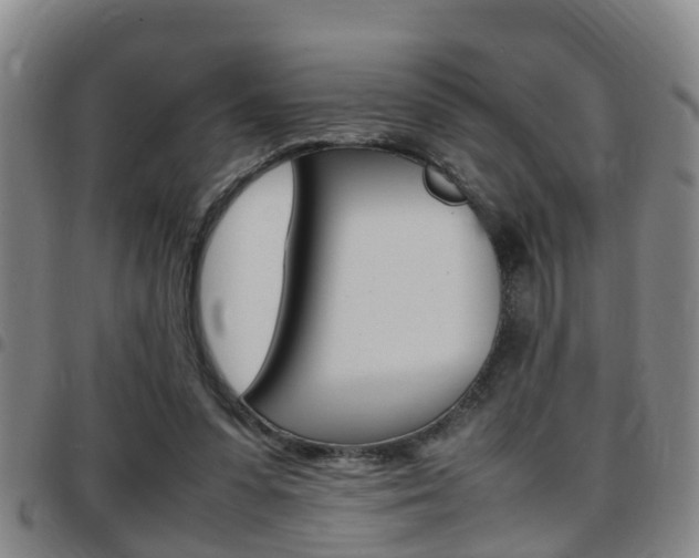 X0000097880303200803140948