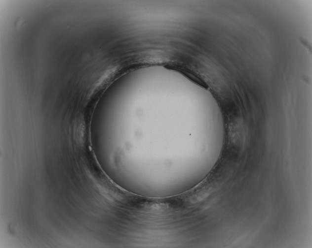 X0000097880304200803140948