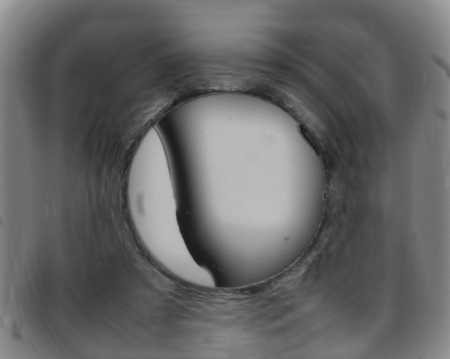 X0000097880305200803140948