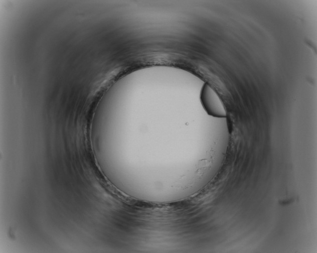X0000097880306200803140948