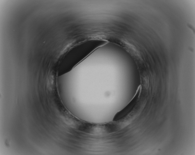 X0000097880308200803140948