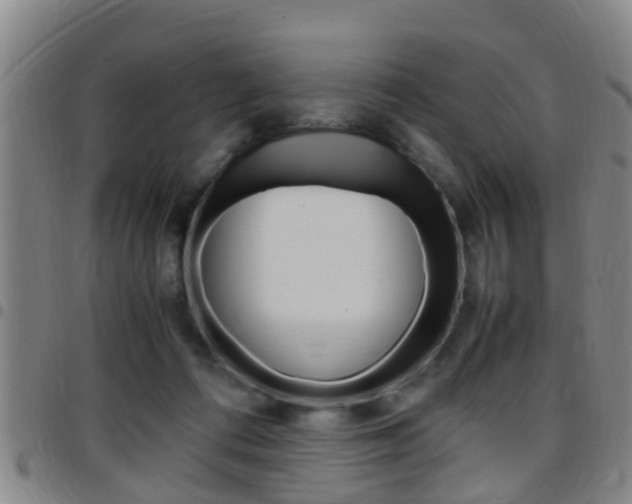 X0000097880312200803140948