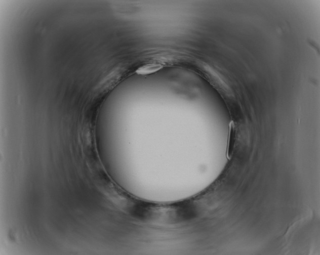 X0000097880313200803140948