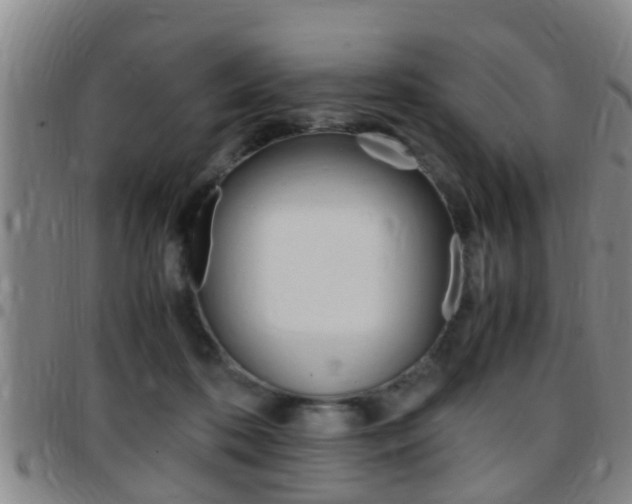 X0000097880316200803140948