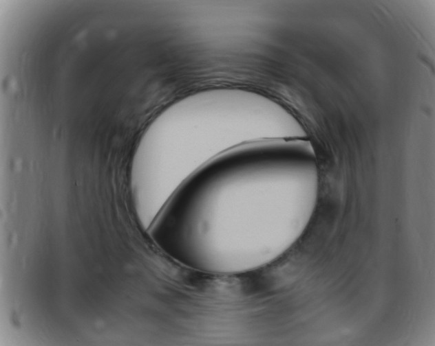 X0000097880317200803140948