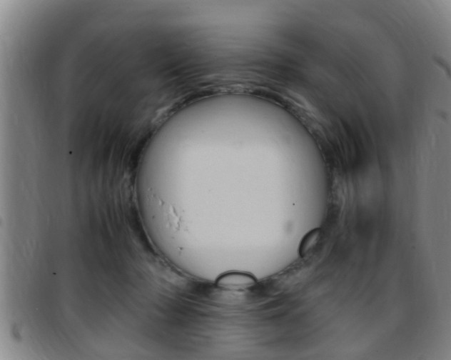 X0000097880318200803140948