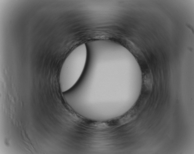 X0000097880322200803140948