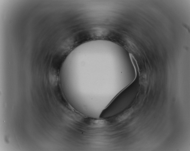 X0000097880324200803140948