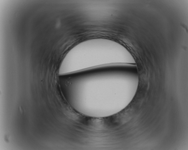X0000097880325200803140948