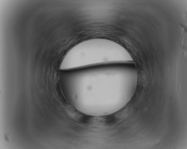 X0000097880327200803140948