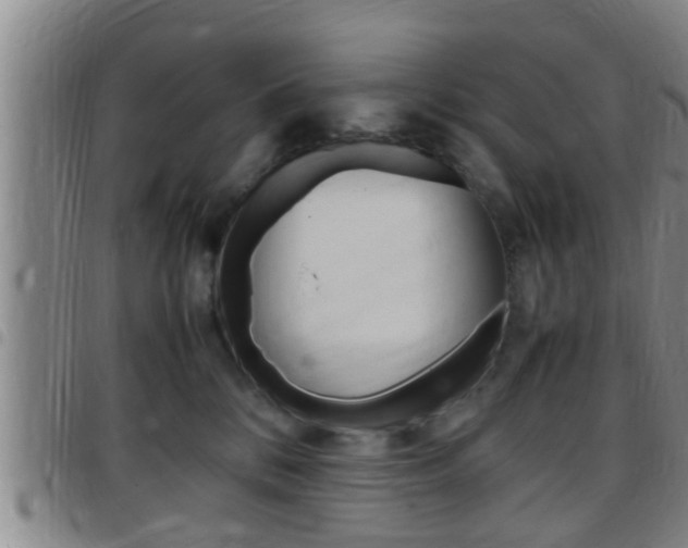 X0000097880328200803140948