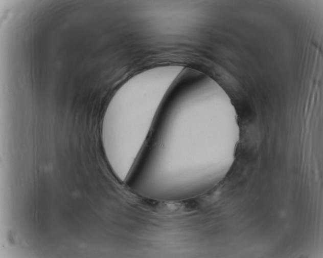X0000097880329200803140948