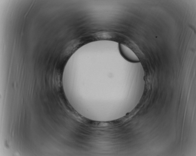 X0000097880330200803140948