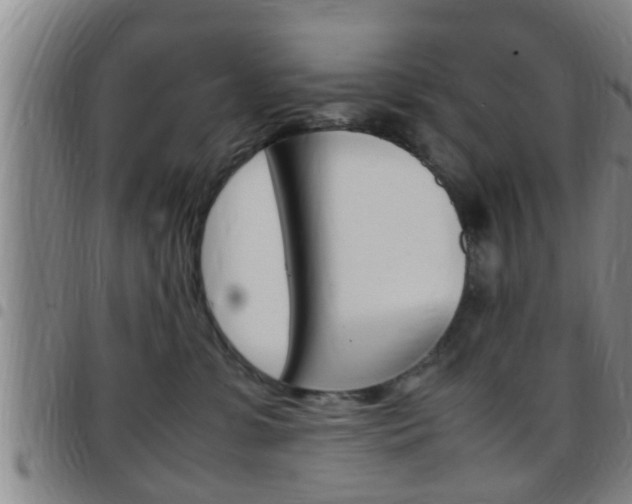 X0000097880331200803140948
