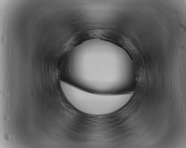 X0000097880332200803140948