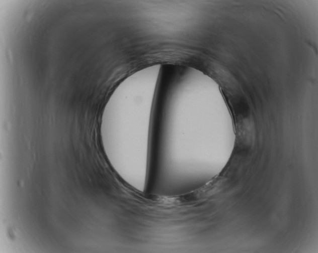 X0000097880333200803140948