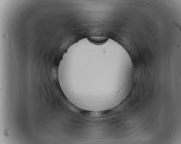 X0000097880335200803140948