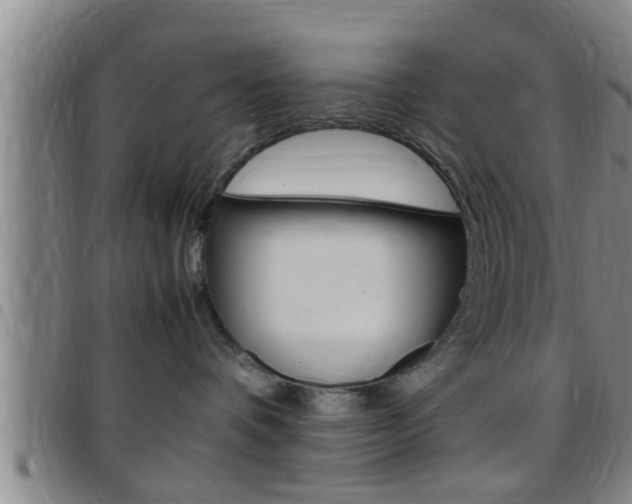 X0000097880336200803140948