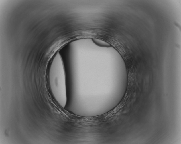 X0000097880338200803140947