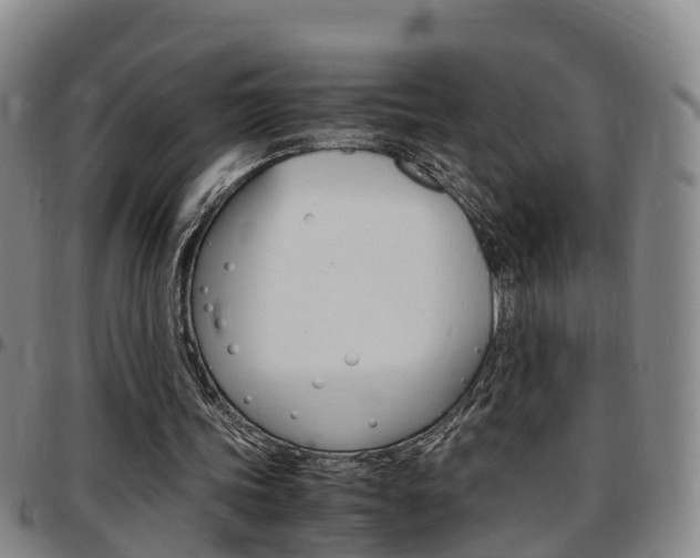 X0000097880339200803140947