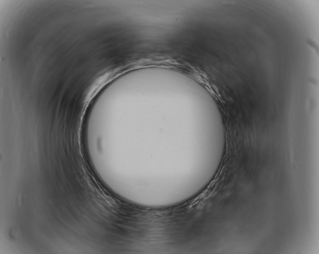 X0000097880340200803140947