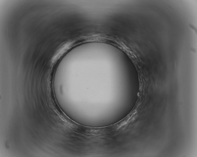 X0000097880341200803140947