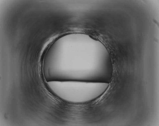 X0000097880342200803140947
