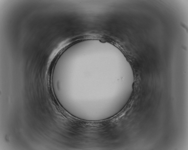 X0000097880343200803140947