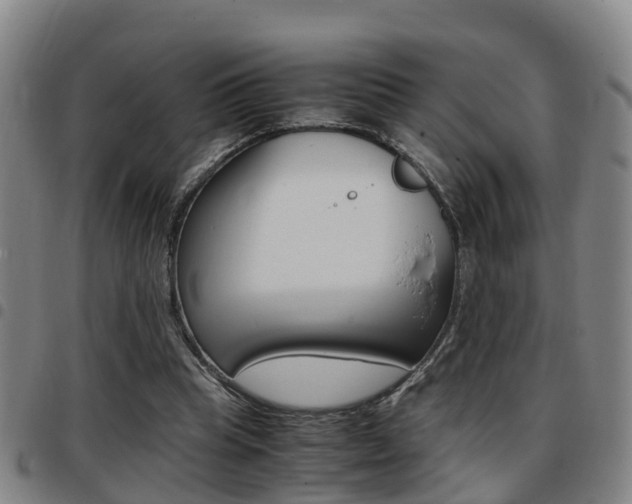 X0000097880345200803140947