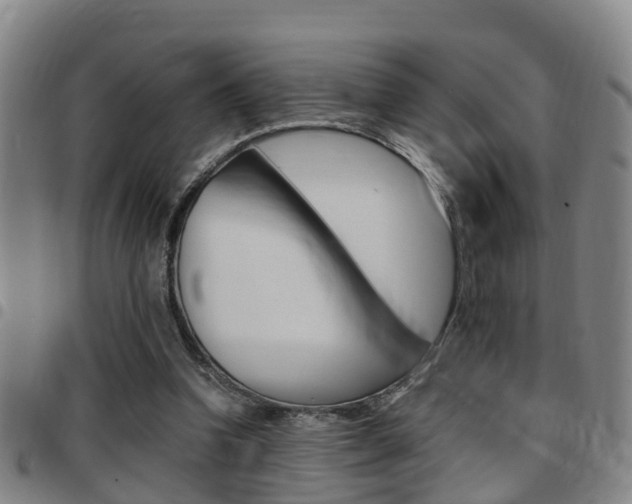 X0000097880346200803140947