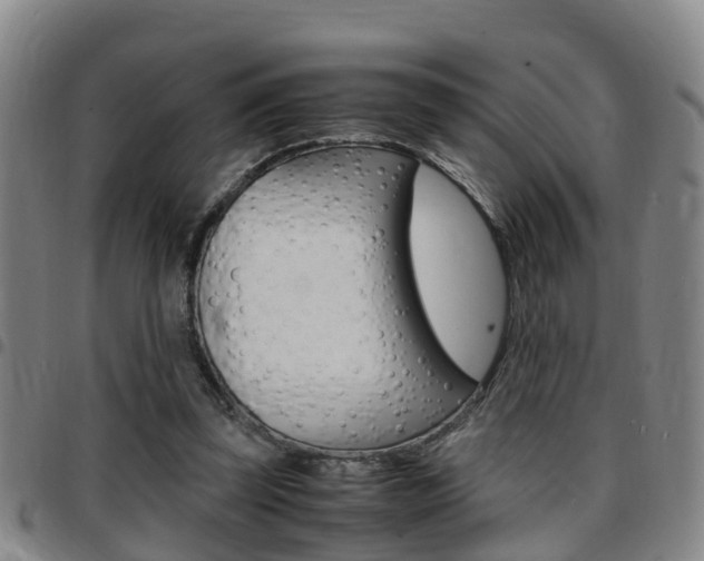 X0000097880347200803140947