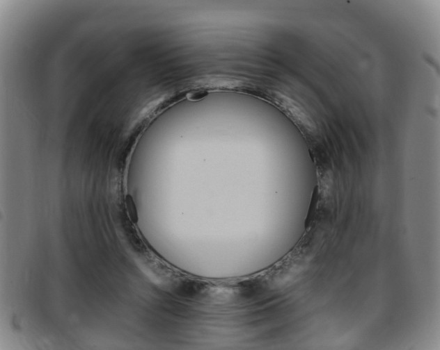 X0000097880352200803140947