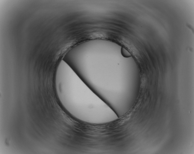 X0000097880353200803140947