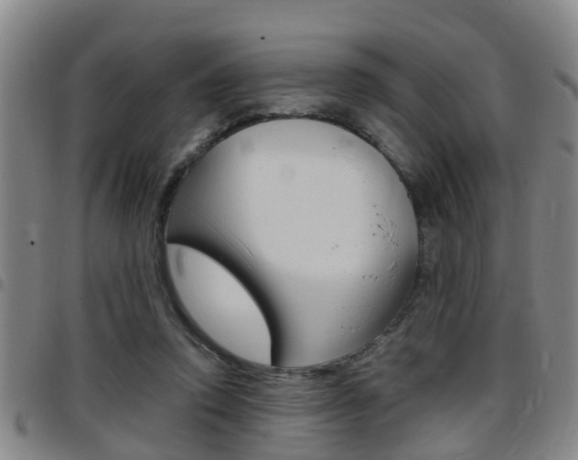 X0000097880354200803140947