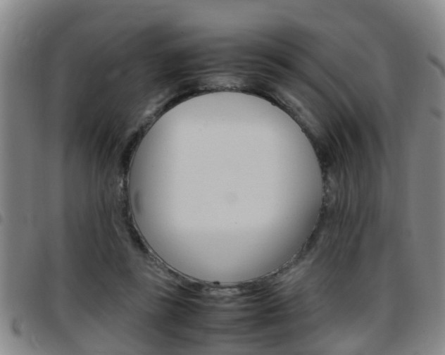 X0000097880355200803140947
