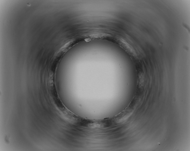 X0000097880356200803140947