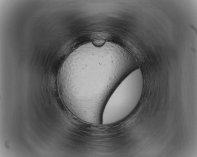 X0000097880359200803140948