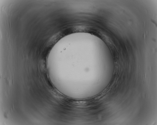 X0000097880361200803140948