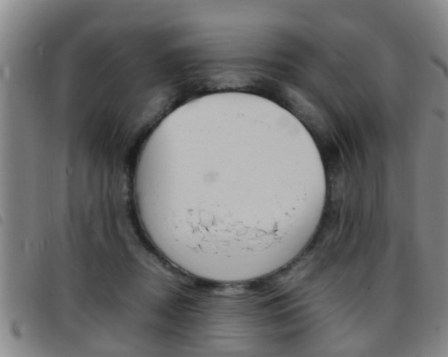 X0000097880362200803140948