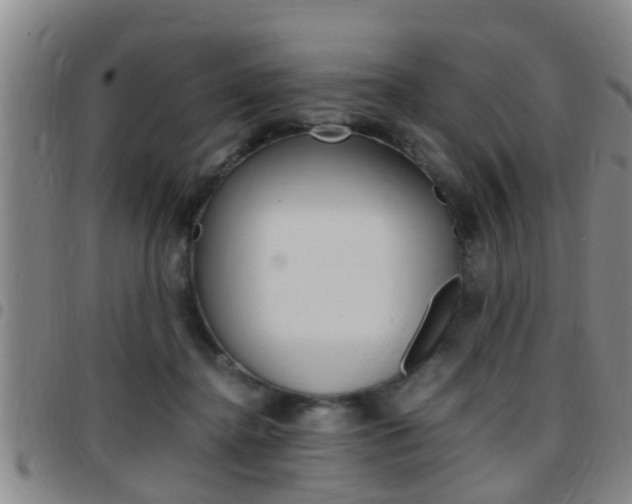 X0000097880364200803140948