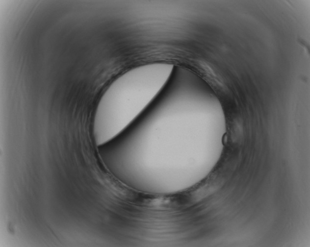 X0000097880366200803140948