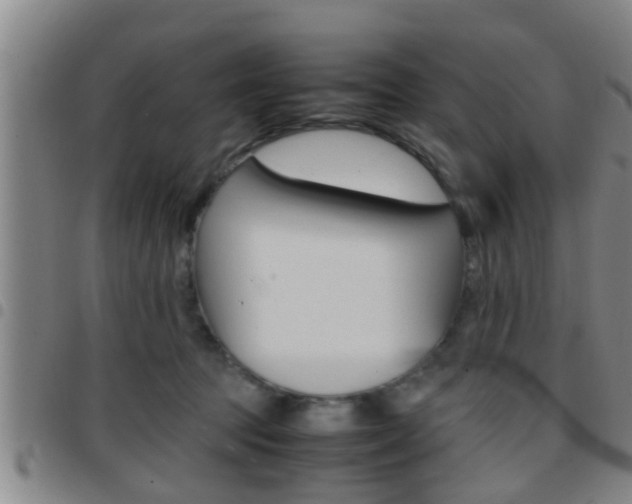 X0000097880369200803140948
